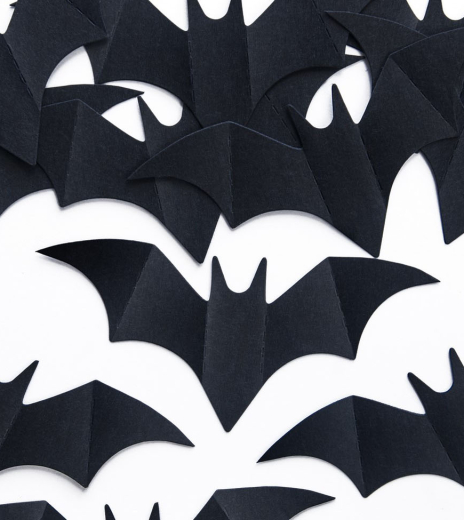 Konfety - Paper confetti Bats (10 ks) - DS009