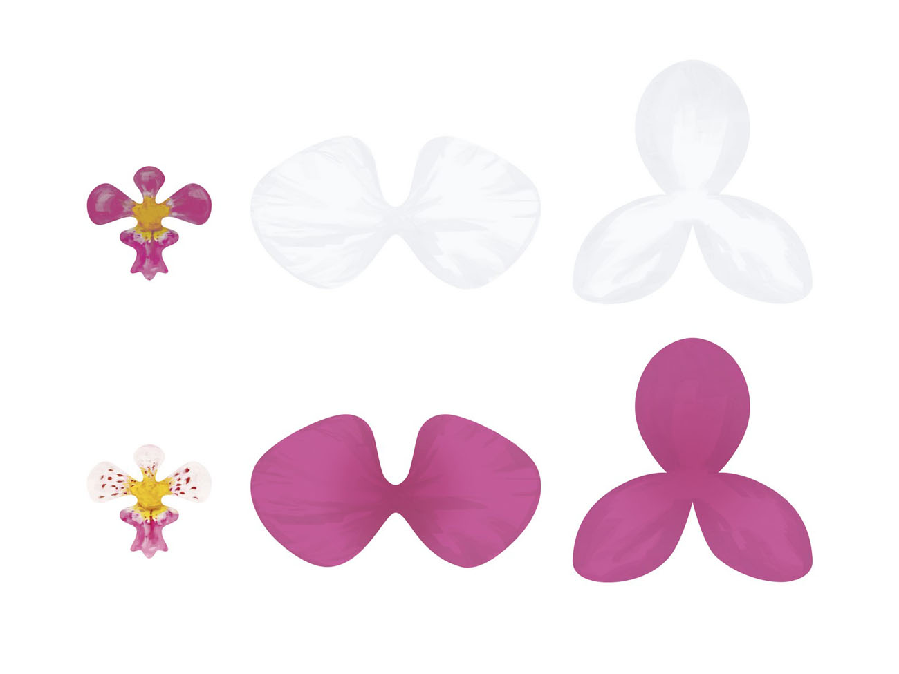 Konfety - Paper decorations Aloha - Orchids (6 ks) - DS008