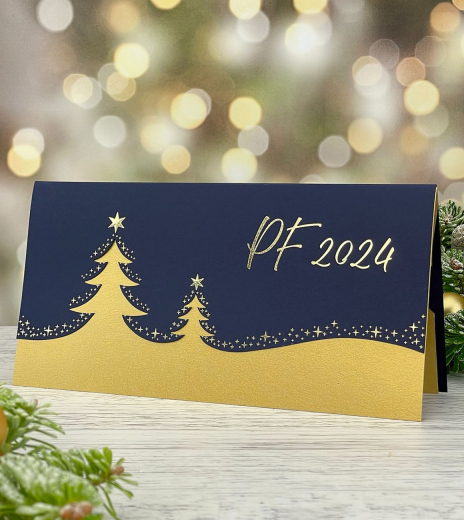 Novoroční přání PF2024 - N24-10014