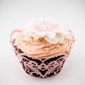 Košíček na cupcake - sada 12 ks - CC1505 - Růžová